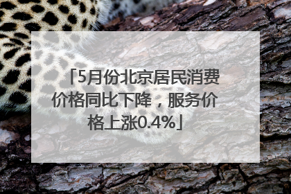 5月份北京居民消费价格同比下降，服务价格上涨0.4%