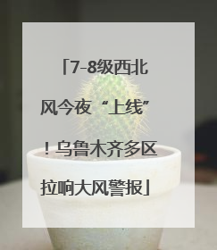 7-8级西北风今夜“上线”！乌鲁木齐多区拉响大风警报