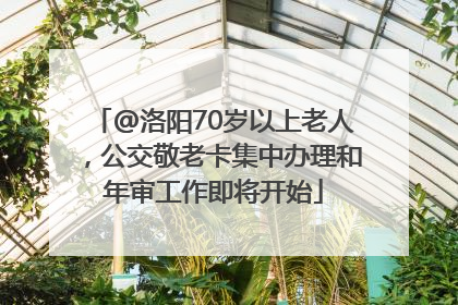 @洛阳70岁以上老人，公交敬老卡集中办理和年审工作即将开始