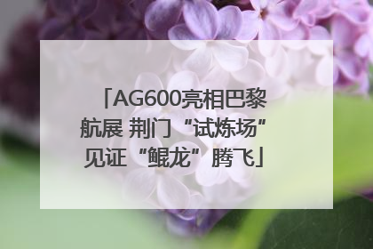 AG600亮相巴黎航展 荆门“试炼场”见证“鲲龙”腾飞