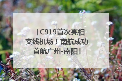 C919首次亮相支线机场！南航成功首航广州-南阳