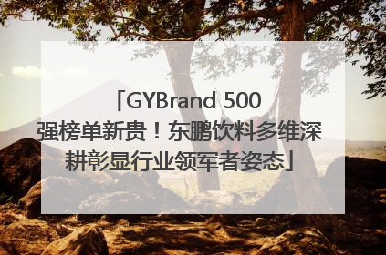 GYBrand 500 强榜单新贵！东鹏饮料多维深耕彰显行业领军者姿态
