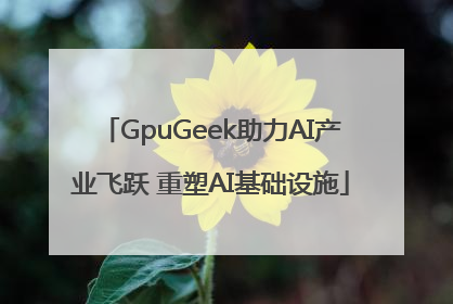 GpuGeek助力AI产业飞跃 重塑AI基础设施