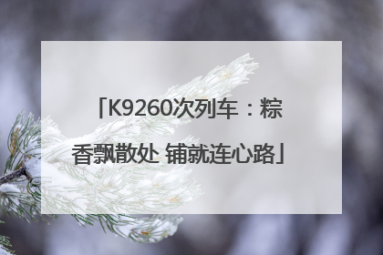 K9260次列车：粽香飘散处 铺就连心路