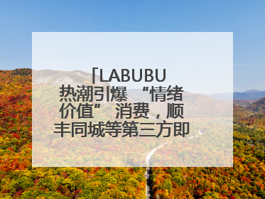 LABUBU 热潮引爆 “情绪价值” 消费，顺丰同城等第三方即配乘风而起