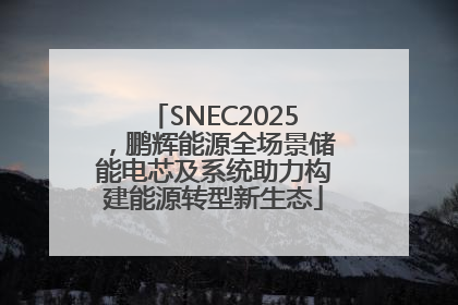 SNEC2025，鹏辉能源全场景储能电芯及系统助力构建能源转型新生态